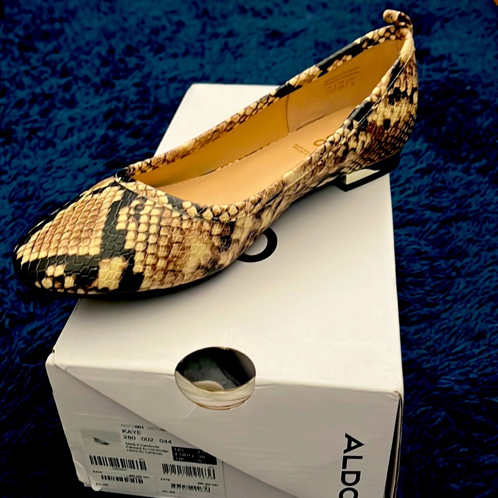 Aldo Ballerina Flat